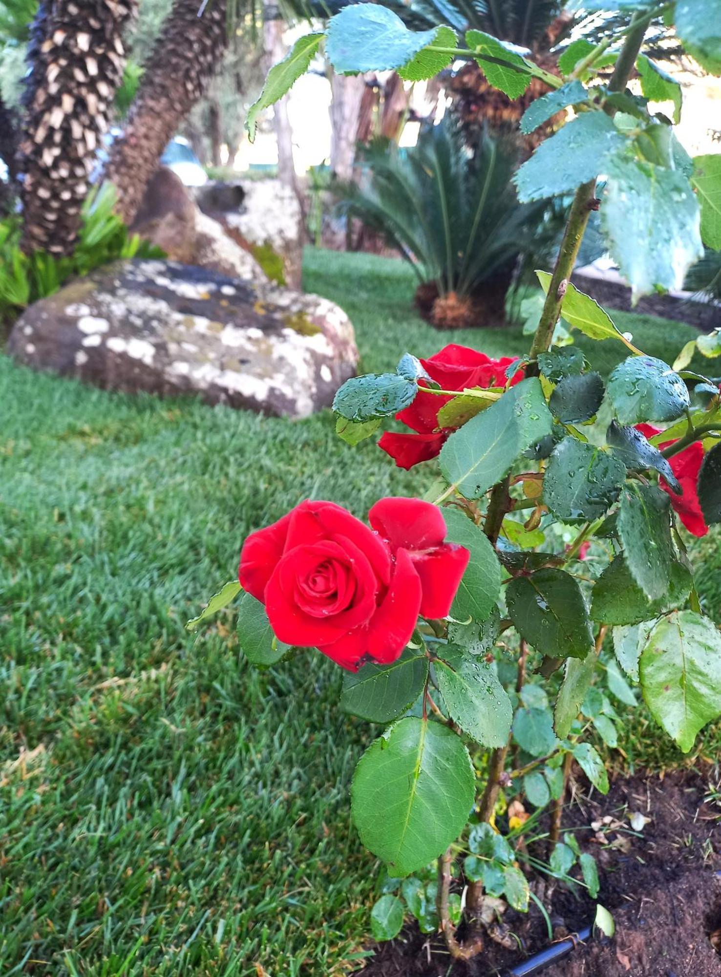 Green Sporting Club Hotel Alghero Bagian luar foto